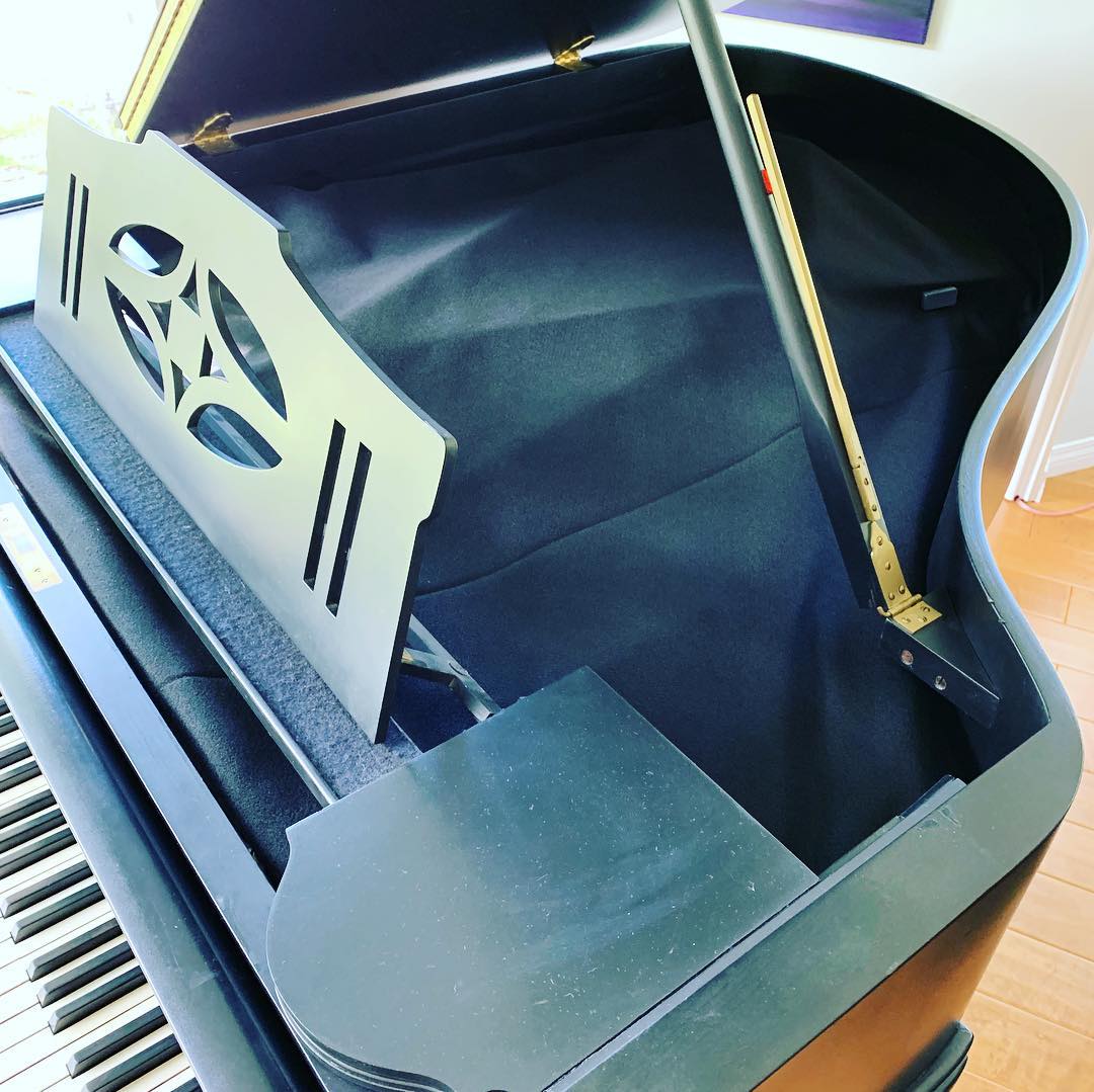 Piano Repair Ventura County Piano Rebuilder Ventura County Piano Tuner Ventura Ashly Piano
